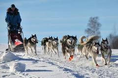 Šediváčkův long 2019, Orlické hory
