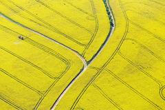 Řepkoland - letecké pohledy na žlutá řepková pole, zabírající více než desetinu půdy