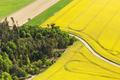 Řepkoland - letecké pohledy na žlutá řepková pole, zabírající více než desetinu půdy