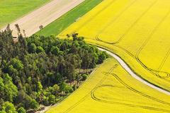 Řepkoland - letecké pohledy na žlutá řepková pole, zabírající více než desetinu půdy