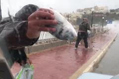 Bouře na Maltě vyhazovala ryby z moře až na ulici. Lidé vyběhli z aut a začali je sbírat