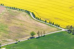 Řepkoland - letecké pohledy na žlutá řepková pole, zabírající více než desetinu půdy