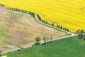 Řepkoland - letecké pohledy na žlutá řepková pole, zabírající více než desetinu půdy