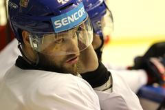 Česká hokejová reprezentace před MS 2018