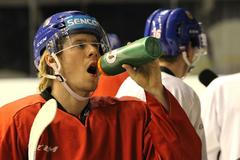 Česká hokejová reprezentace před MS 2018