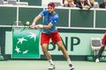 Davis Cup