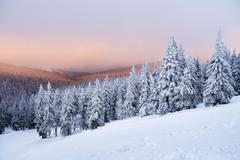 Praděd - zima 2018 / 2019