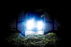 Xenonové světlomety