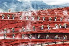 Sony World Photography Awards 2019 - finalisté v kategorii Kultura