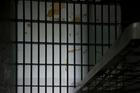 Zahraničí / Ilustrační snímek / Vězení / Mříže / Odsouzený / Výkon trestu