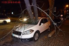 Silný vítr v Brně lámal stromy