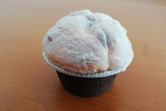 ČOI stažený výrobek muffin