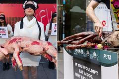 Grilování psa, sedřená ovce a drastické záběry. Tohle jsou nejkontroverznější protesty veganů