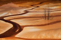 Sony World Photography Awards 2019 - finalisté v kategorii krajina