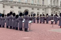 Úžasná podívaná: Královská garda hraje před Buckinghamským palácem Bohemian Rhapsody