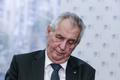 Miloš Zeman na tiskové konferenci v Německu