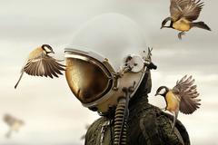 Sony World Photography Awards 2019, shortlist v kategorii Creative