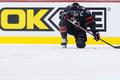 MSJ 2019, Kanada - Finsko, Maxime Comtois