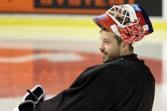 Česká hokejová reprezentace před MS 2018