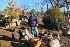 Projekt Sdílené slepice