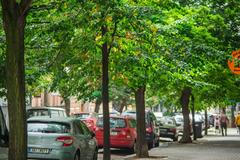 Alej roku 2014 - Alej v Belgické ulici v Praze