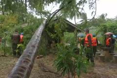 Extrémní bouře udeřila na Thajsko. Vichr poráží stromy, deště způsobily záplavy