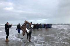 Pláž v Nizozemí zaplavily odpadky z obří nákladní lodě, uklízí ji dobrovolníci
