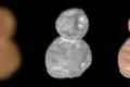 Vypadá jako sněhulák. NASA zveřejnila první ostrý snímek planetky Ultima Thule