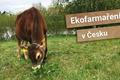 Ekofarmaření v Česku