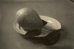 Josef Sudek - fotografie z výstavy Sudek: Obrazy a odrazy (nelze použít k jinému článku)