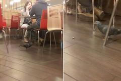 Oběd s drzým holubem. V burgrárně na pražském hlavním nádraží se bez rozpaků vykrmují holubi