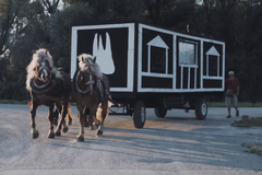 Češi natočili film o vrácení ukradených zubů Johanna Strausse. Trailer k filmu Vienna Calling