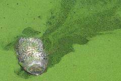 Nejlepší snímky měsíce března