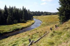 Dobrovolníci v rašelině