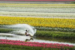 Jaro pohledem sportovních fotografů Red Bullu