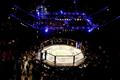 MMA, UFC, oktagon