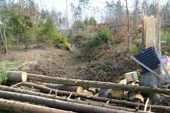 Místo dřevorubců pomáhá v ZOO Olomouc lesnický stroj