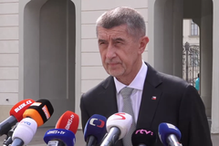 Babiš: Zeman nepostupuje proti ústavě, nevyjádřil ještě svůj názor, žádnou lhůtu nemá