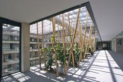 ŽIVĚ: Představení finalistů soutěže E.ON Energy Globe 2019