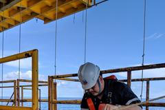 Pes uplaval 200 km. Na pokraji sil ho z moře vytáhli dělnici