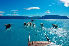 Tahle fotka zaskočila i vědce. Důkaz, že globální oteplování postupuje, říká ekolog