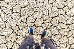 České sucho v obrazech: Vyschlá přehrada Pařížov a slunečnice spálené sluncem