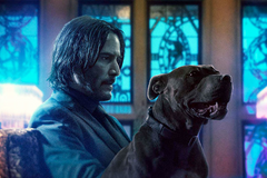 Johne Wicku, mrtvých je tak akorát. Film má vypadat jako jedna velká akční scéna