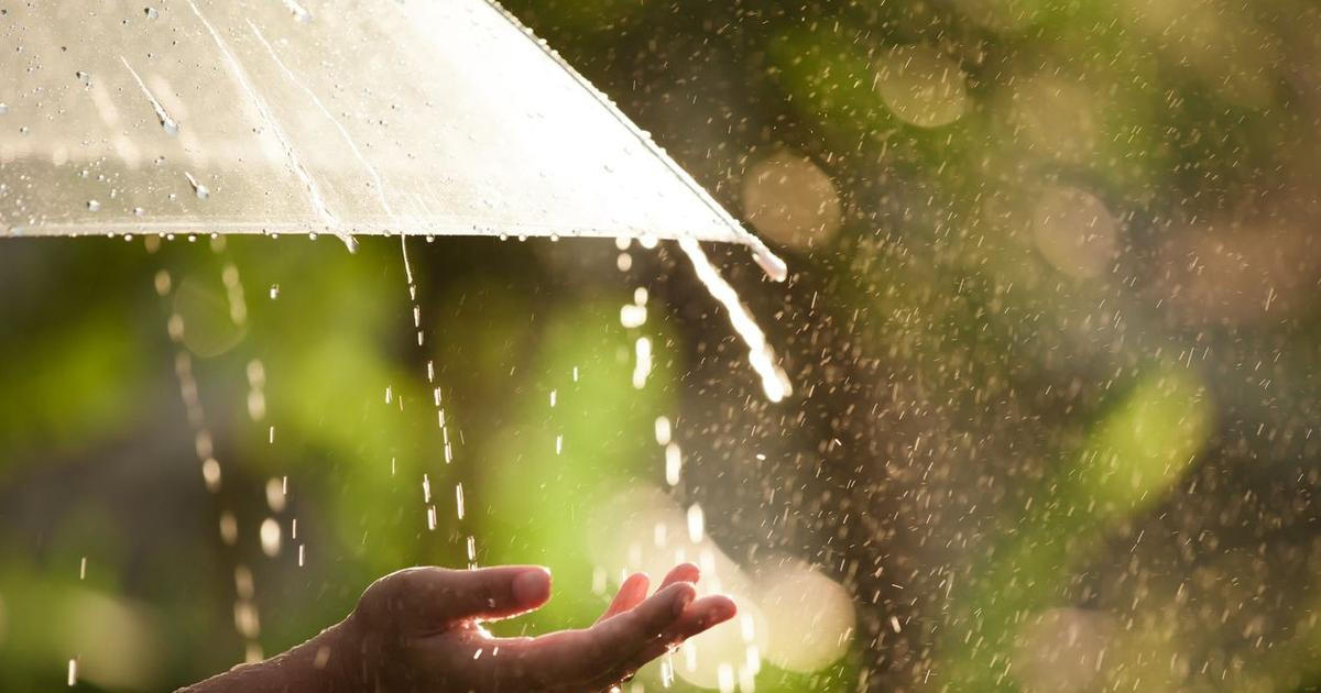 Přes Čechy dnes přejdou od jihu k severu silné bouřky, teploty zůstanou tropické