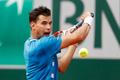 French Open 2019: Dominic Thiem
