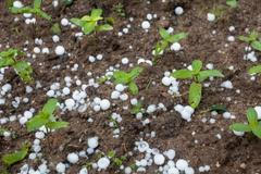 Kroupová smršť. Německem se prohnaly silné bouřky