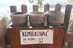 Cedule 2018 překlepy podivnosti nesmysly nápisy