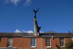 Heddingtonský žralok