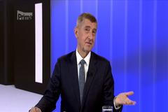 Babiš se chystá mluvit se Zemanem o případných změnách ve vládě