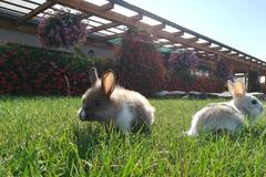 Zoo Shop - Český Krumlov